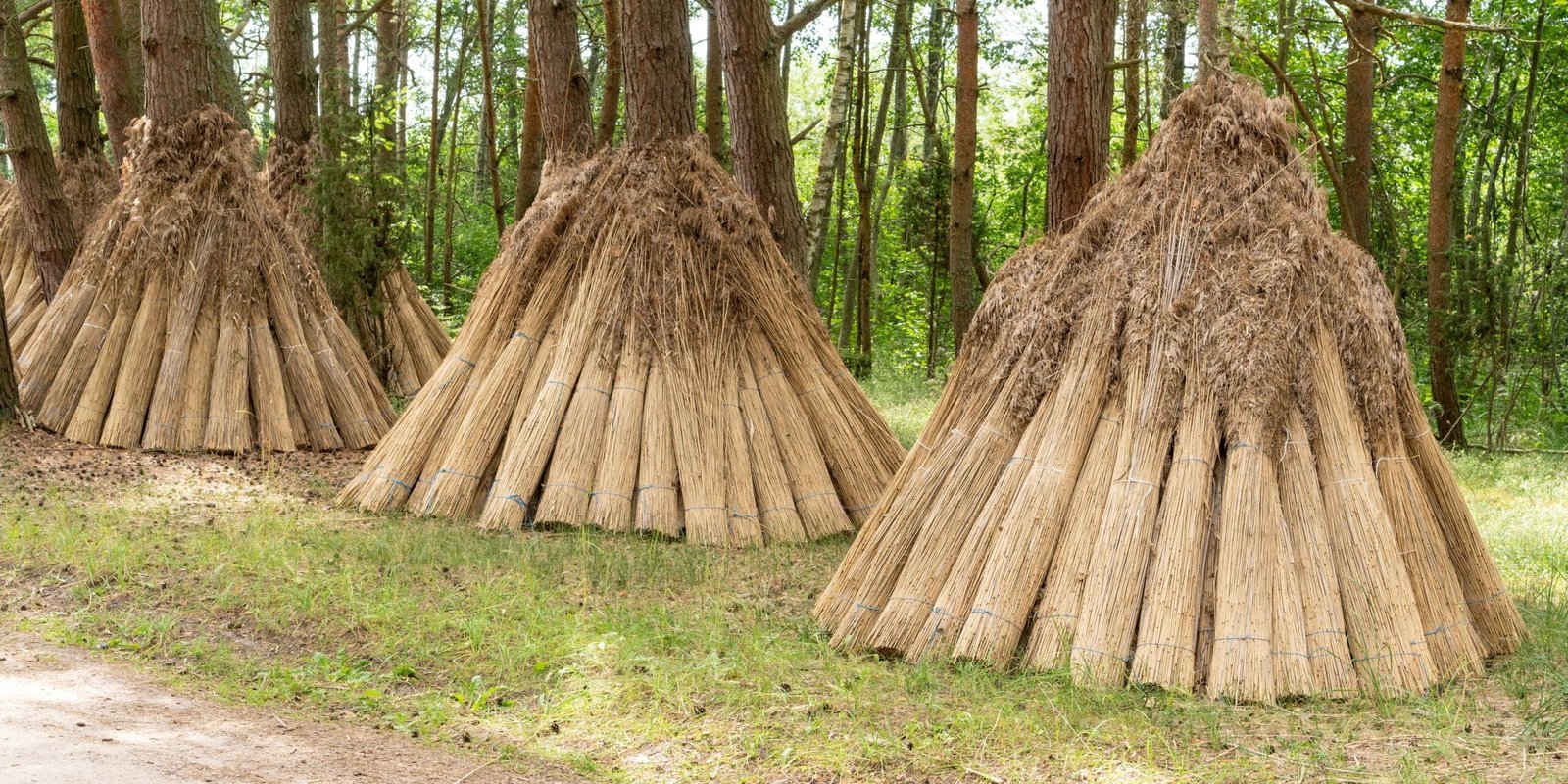 Sustainability